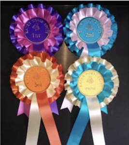 611669921_1451103046568818_313793518330964967_n