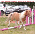 614231716_1577427719841658_3941905509723847936_n