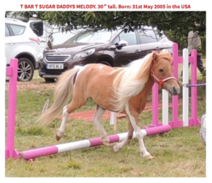 614231716_1577427719841658_3941905509723847936_n