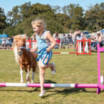 616830420_2385209728592386_4518525765093028103_n