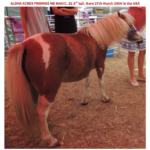 617378774_3269751996514263_7597447549393372287_n