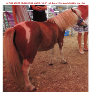 617378774_3269751996514263_7597447549393372287_n