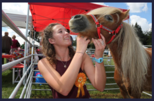 Rustic Fayre 2016 copy