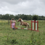 Screenshot 2024-11-10 at 11.12.34