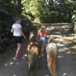 Screenshot 2026-01-24 at 17.17.46