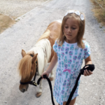 Screenshot 2026-01-24 at 17.19.21