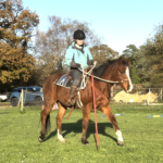 Jez 8 Nov 2025 d 1398 pixels