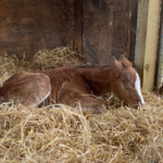 Screenshot 2024-11-07 at 19.41.47